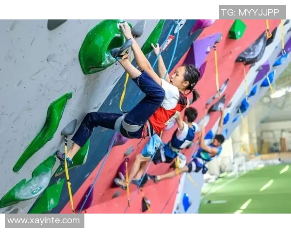 上海攀岩队在攀岩比赛中创下新高经验排名引发广泛关注